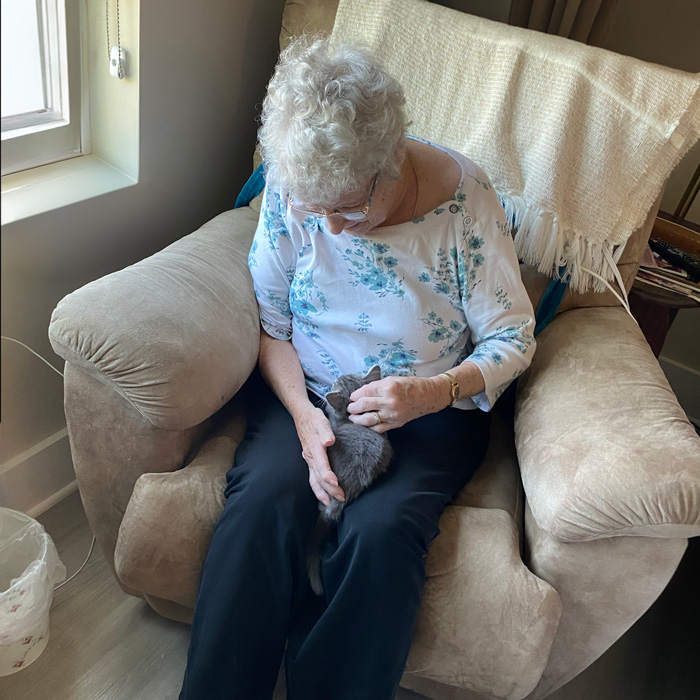 Senior lady sits in a comfortable chair, gently petting a small kitten on her lap, creating a warm and peaceful moment by the window.